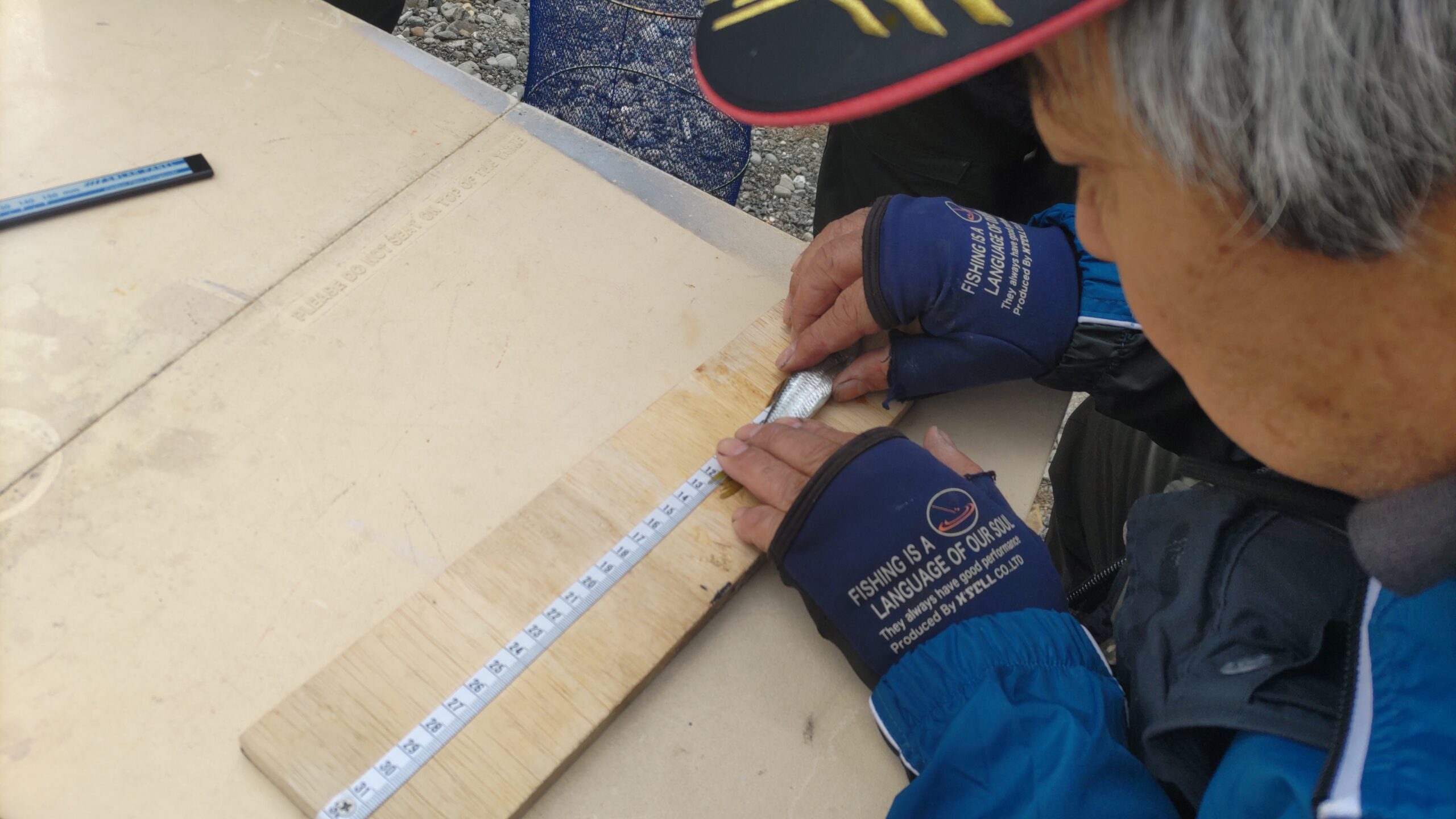 IMG_0002_BURST00120251102094020